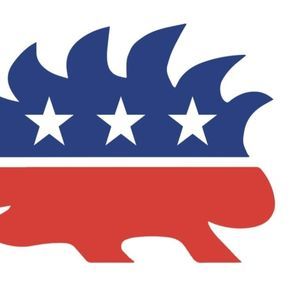 Meet your Posher, Timothy